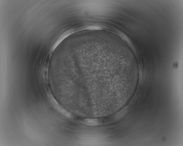 X0000112211194200909041333