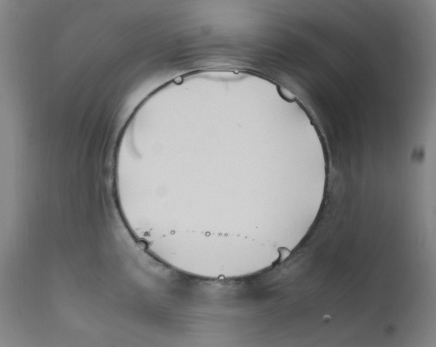 X0000112211195200909041333