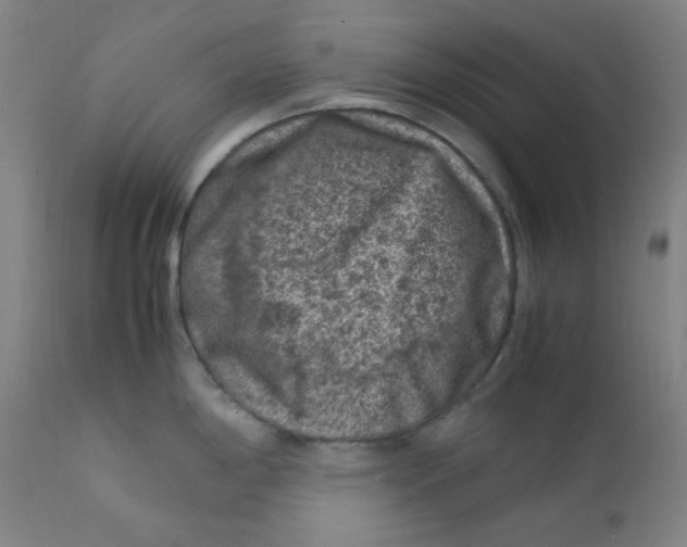 X0000112211198200909041333