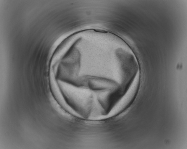 X0000112211200200909041333