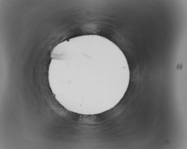X0000112211201200909041332