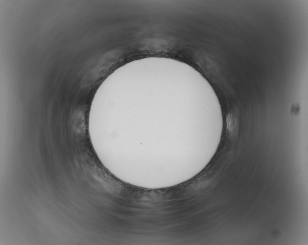 X0000112211203200909041332