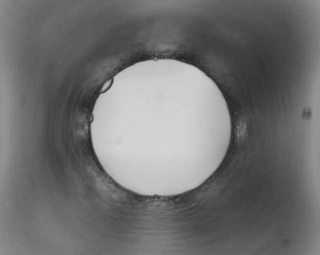 X0000112211204200909041332