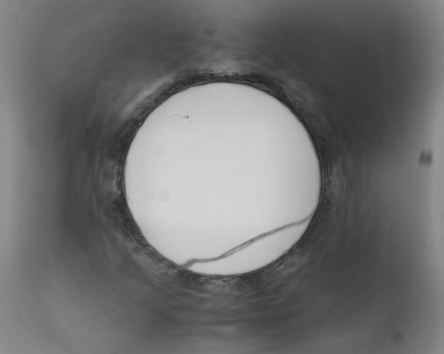 X0000112211205200909041332