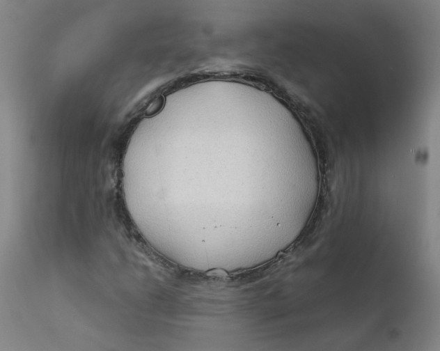 X0000112211206200909041332