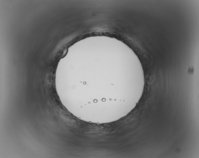 X0000112211207200909041332