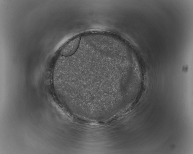 X0000112211208200909041332