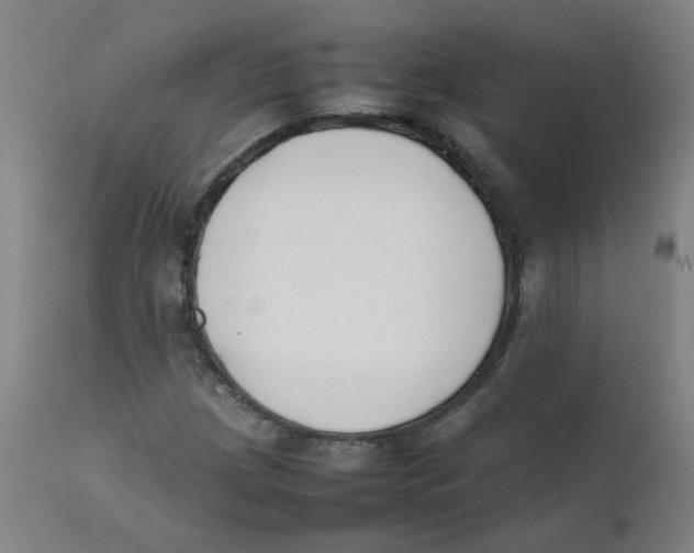 X0000112211209200909041332