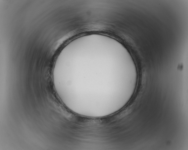 X0000112211210200909041332