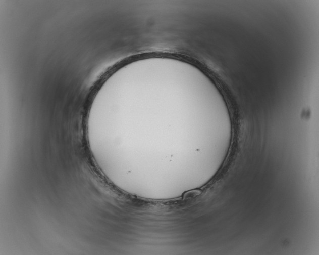 X0000112211214200909041332