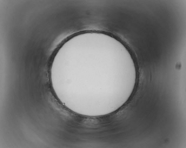 X0000112211215200909041332