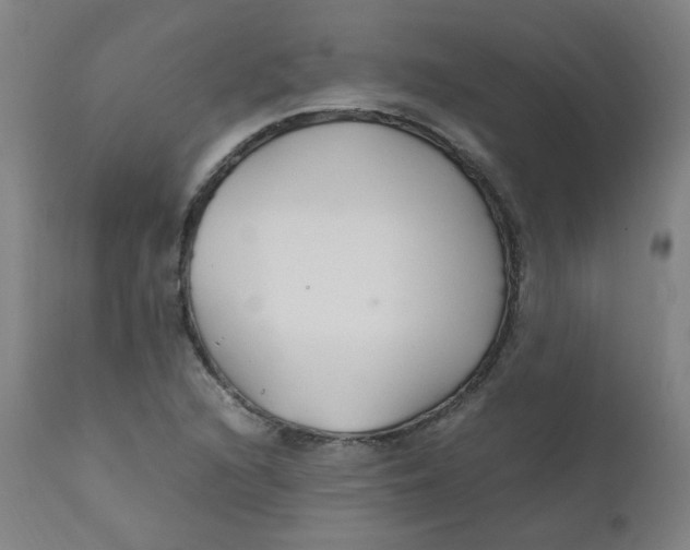 X0000112211216200909041332