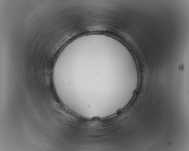 X0000112211217200909041333