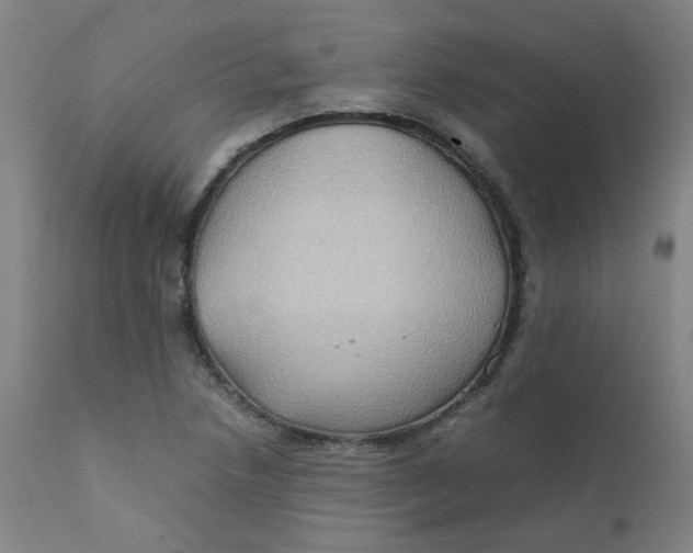 X0000112211218200909041333