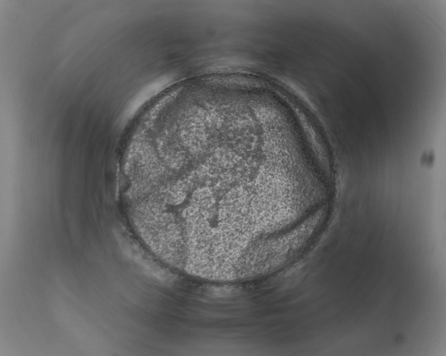 X0000112211219200909041333