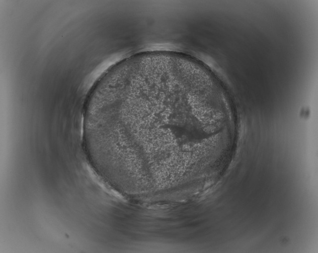 X0000112211221200909041333