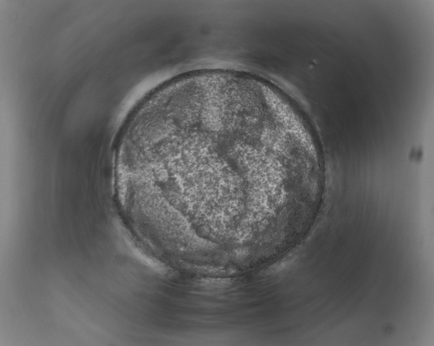 X0000112211223200909041333