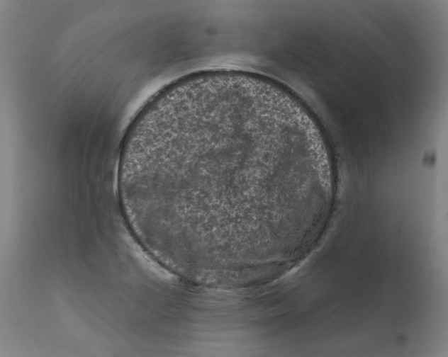 X0000112211224200909041333