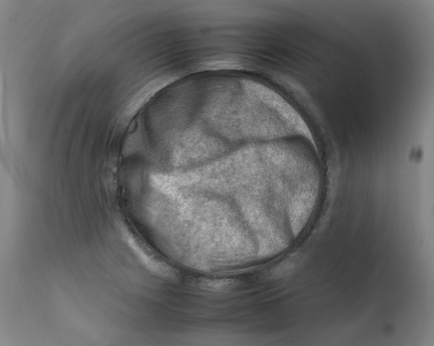 X0000112211225200909041333