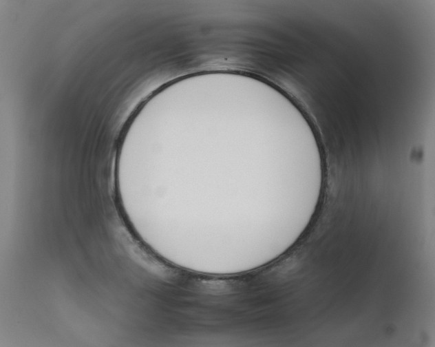X0000112211227200909041333
