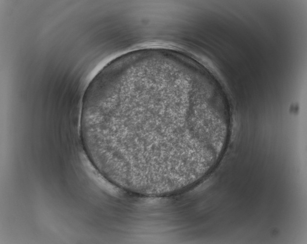 X0000112211228200909041333