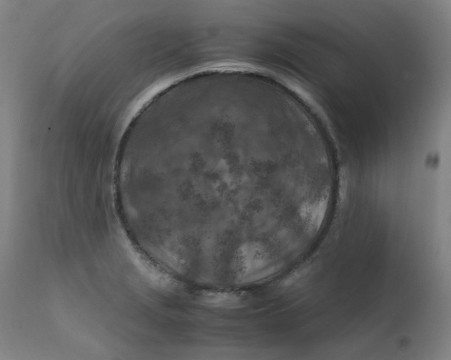 X0000112211229200909041333