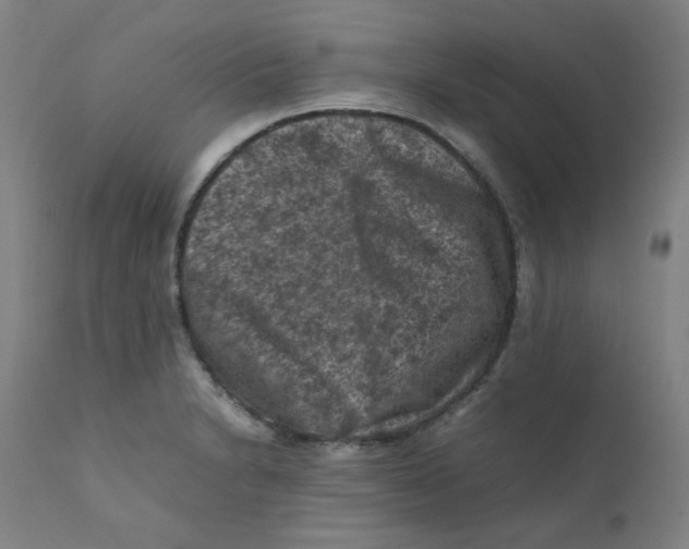 X0000112211230200909041333