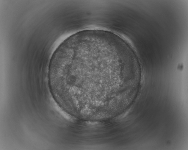 X0000112211231200909041333