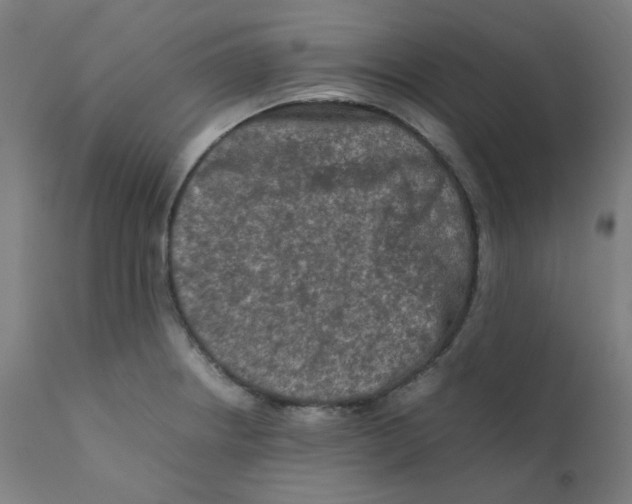 X0000112211234200909041333
