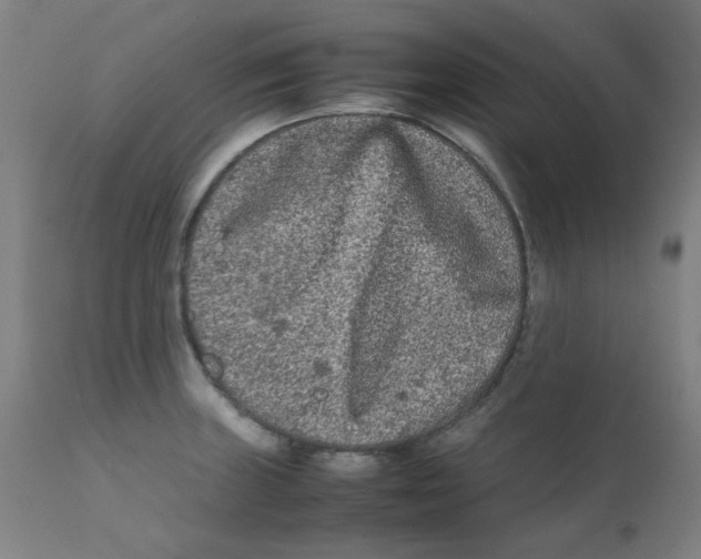 X0000112211235200909041333