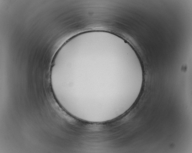 X0000112211236200909041333