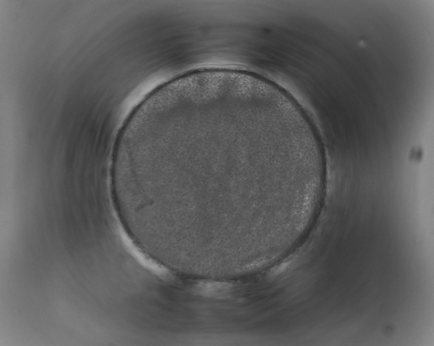 X0000112211237200909041333