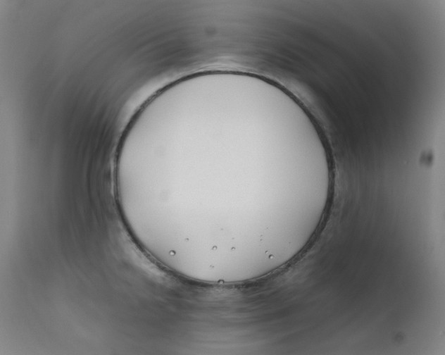 X0000112211238200909041333