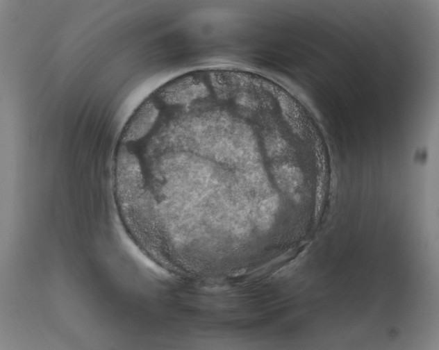 X0000112211239200909041333