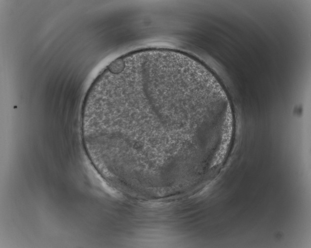 X0000112211240200909041333