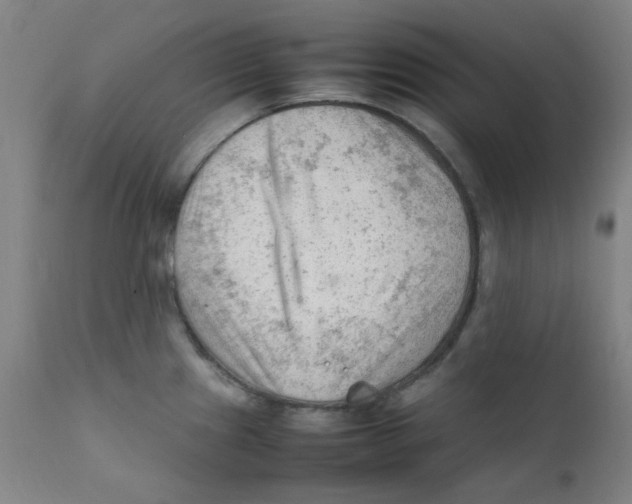 X0000112211241200909041333