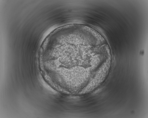 X0000112211243200909041333
