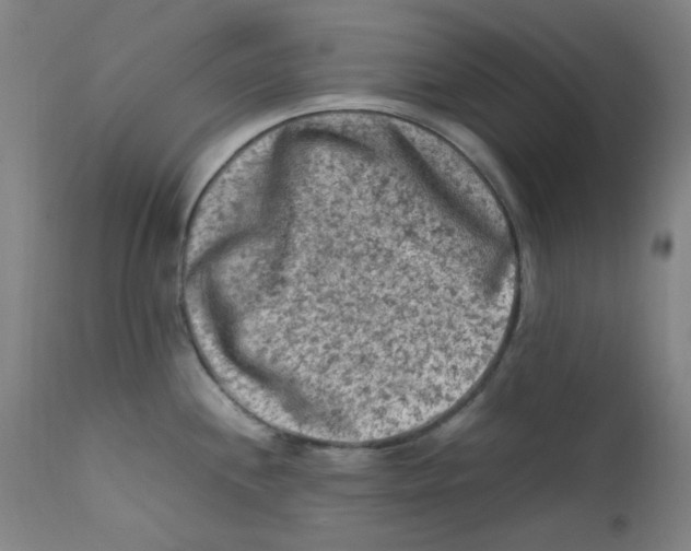 X0000112211244200909041333