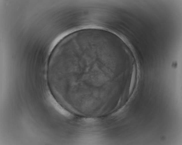 X0000112211246200909041333