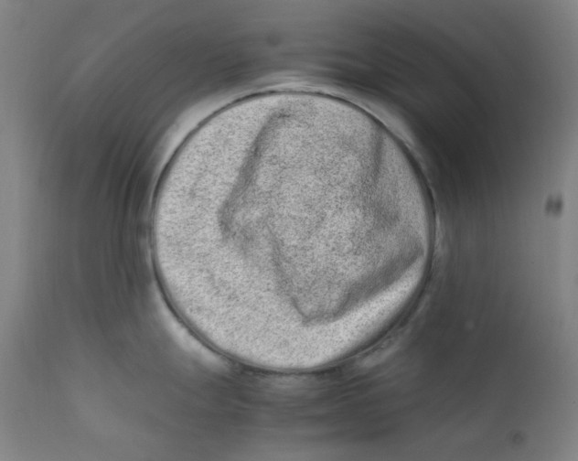 X0000112211247200909041333