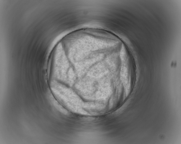 X0000112211248200909041333