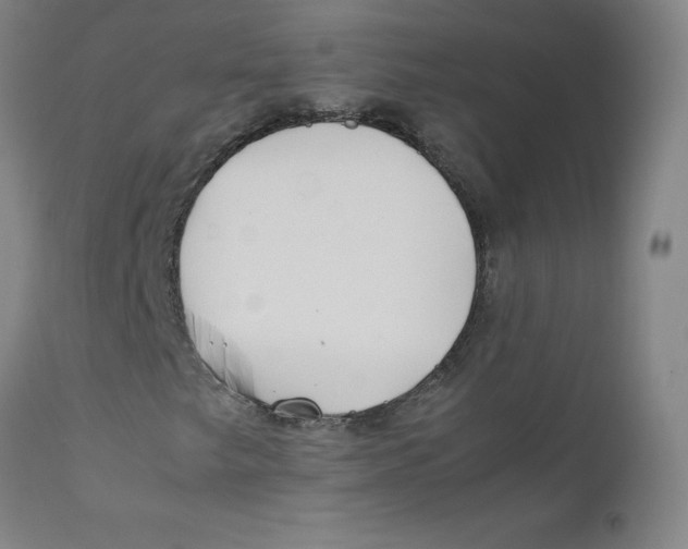 X0000112211249200909041332