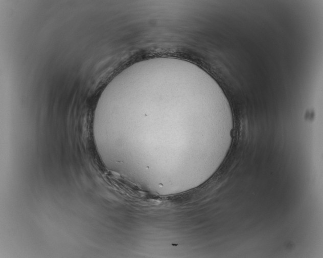 X0000112211250200909041332
