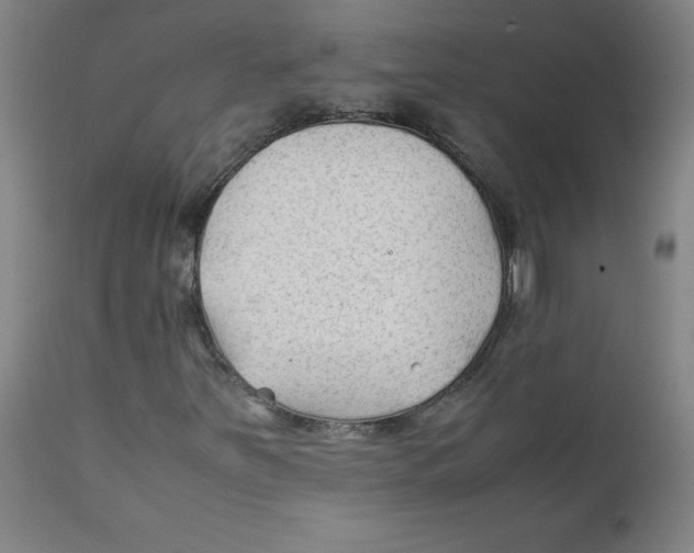 X0000112211251200909041332