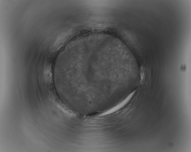 X0000112211252200909041332
