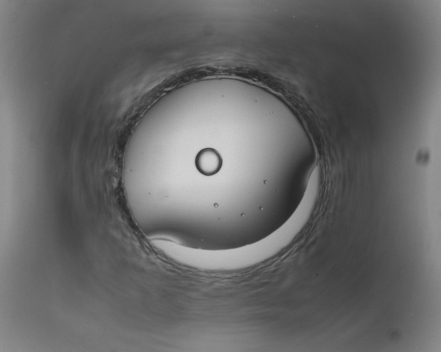 X0000112211253200909041332