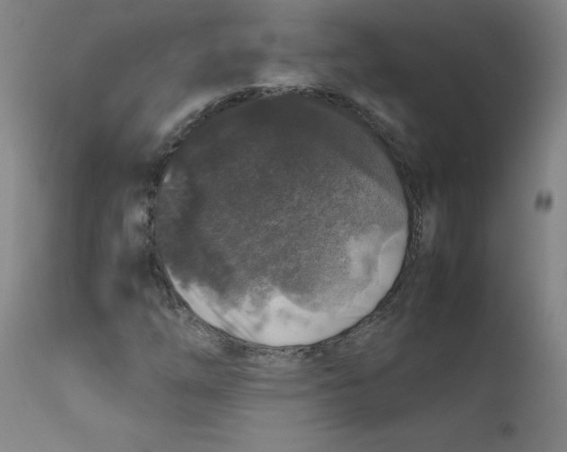 X0000112211254200909041332
