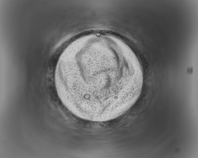 X0000112211255200909041332