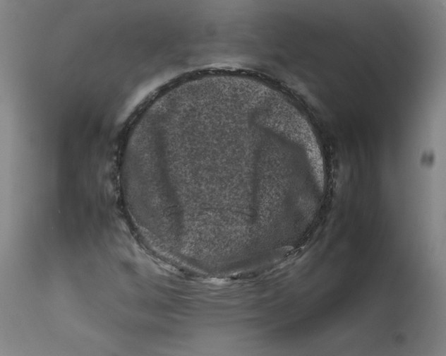 X0000112211256200909041332