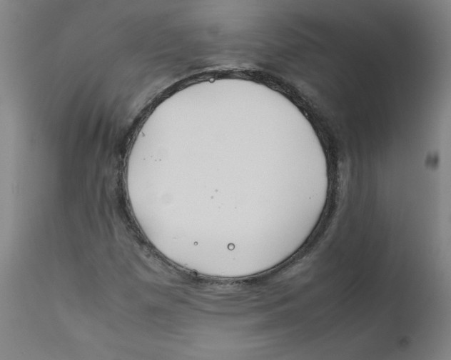 X0000112211257200909041332